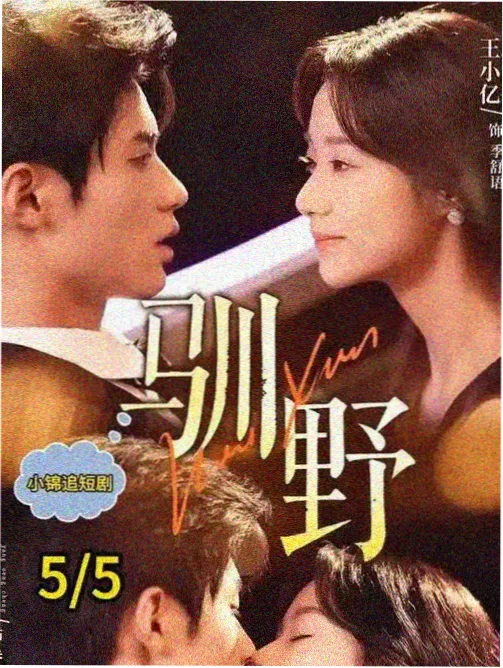 罗马假日 6v影视